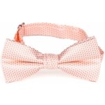 AMJ pánský vzorovaný MP419 světlý lososový / puntíkovaný – Hledejceny.cz