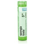 SPONGIA TOSTA POR 5CH GRA 4G – Hledejceny.cz