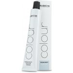 Subrina Colour Permanent Highlift 11/1 100 ml – Zboží Dáma