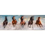 Clementoni 39607 Koně 1000 dílků – Hledejceny.cz