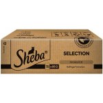 Sheba krmivo mokré mix chutí 6 kg – Zboží Dáma