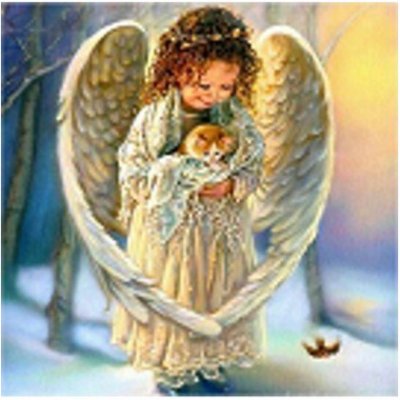 Norimpex Diamantová mozaika Anděl s kotětem – Zbozi.Blesk.cz