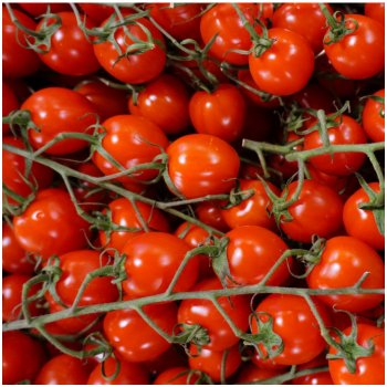 Rajče Supersweet F1 - Solanum lycopersicum - semena rajčete - 6 ks