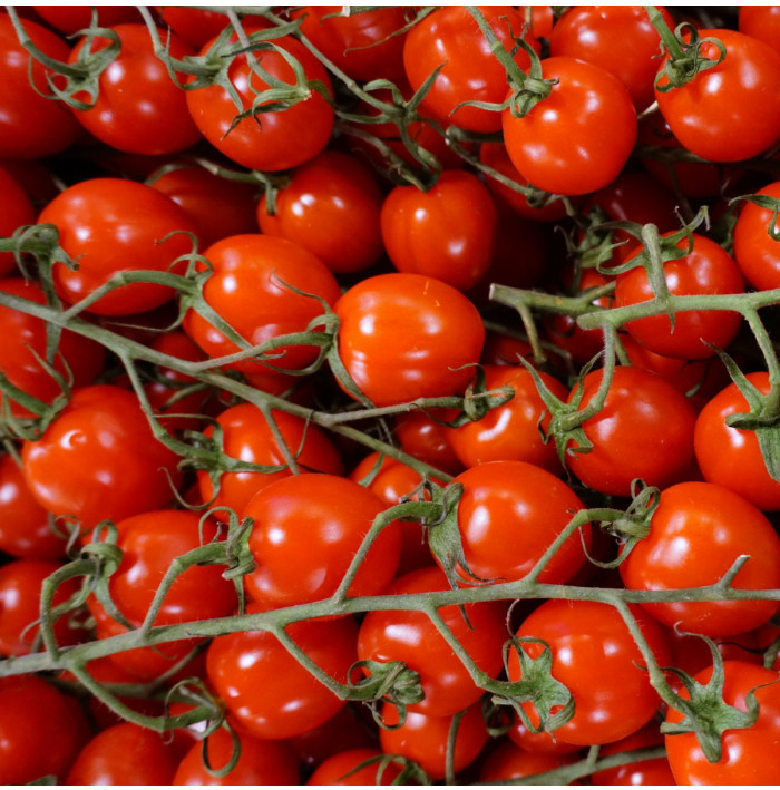 Rajče Supersweet F1 - Solanum lycopersicum - semena rajčete - 6 ks