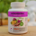 Mycomedica Ostropestřec + reishi + pampeliška 90 kapslí – Zbozi.Blesk.cz