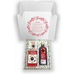 LEROS SADA BYLINKOVÉ VÁNOCE 20 x 2 g – Zboží Dáma