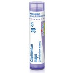 CHELIDONIUM MAJUS POR 30CH GRA 1X4G – Hledejceny.cz