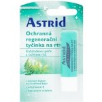 Astrid Balzám na rty s vitamínem E 4 g – Zboží Mobilmania