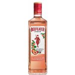 Beefeater Peach & Raspberry 37,5% 0,7 l (holá láhev) – Zbozi.Blesk.cz