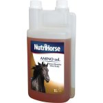 Nutri Horse Amino sol 1 l – Hledejceny.cz