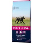 Eukanuba Puppy & Junior Large Breed 3 kg – Hledejceny.cz