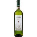 La Raia Gavi Pleo 2024 Bílé 12,5% 0,75 l (holá láhev) – Hledejceny.cz