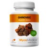 Doplněk stravy MycoMedica Ohňovec 400 mg 120 kapslí