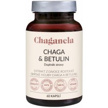 Chaganela Extrakt ze sibiřské čagy s betulinem 60 ks