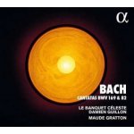 Johann Sebastian Bach - Cantatas BWV 169 82 CD – Hledejceny.cz