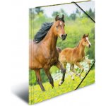 Deska s gumičkou PP A4 Horses 447599 – Zboží Živě