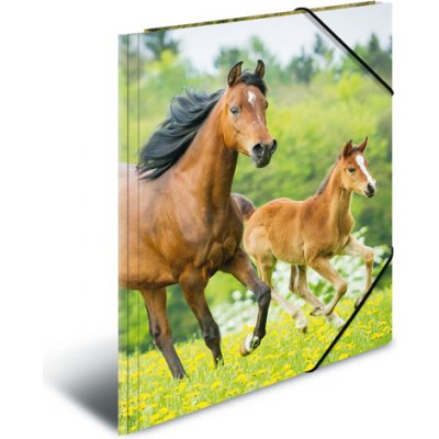 Deska s gumičkou PP A4 Horses 447599 – Zboží Živě