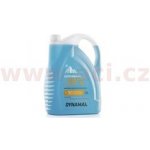 Dynamax Screenwash -20°C 5 l – Sleviste.cz