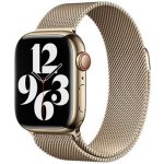 Apple Watch 41mm řemínek milánský tah zlatý MTJL3ZM/A – Zboží Mobilmania