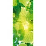 Dimex D-054 samolepící fototapeta na dveře LEAVES rozměry 95 x 210 cm – Zbozi.Blesk.cz