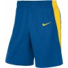 Pánské kraťasy a šortky Nike Mens Team Basketball Stock short 20 nt0201-464