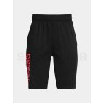 Under Armour šortky UA Prototype 2.0 Wdmk Shorts blk