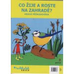 Co žije a roste na zahradě? - Hravá přírodověda - Eliška Leblová – Hledejceny.cz