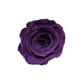 Aneta Purple - fialová (Stabilizovaná "věčná" růže v keramickém obalu ve tvaru srdce)