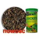 Tropical Crickets 250 ml – Zboží Mobilmania