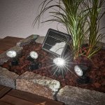 Esotec 102142 – Zboží Dáma