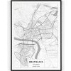 Plakát Plakát / Obraz Mapa Bratislava 61 x 91,5 cm Napnuté plátno na dřevěném rámu