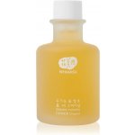 Whamisa BIO Tonikum Original 155 ml – Zboží Mobilmania