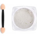 BIO nails Pigment zalešťovací prášek 012 – Hledejceny.cz