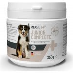 Reavet Junior Complete pro štěňata a mladé rostoucí psy 250 g – Hledejceny.cz
