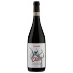 Damoli Vini Amarone della Valpolicella classico "Checo" 2018 15,5% 1,5 l (holá láhev) – Hledejceny.cz