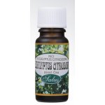 Saloos bio esenciální olej EUKALYPTUS CITRIODORA pro aromaterapii 5 ml – Hledejceny.cz