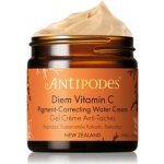 Antipodes Diem Vitamin C Pigment-Correcting Water Cream 60 ml – Hledejceny.cz