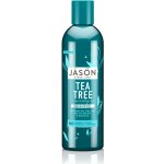 Jason šampon proti lupům Tea Tree 517 ml – Zboží Mobilmania