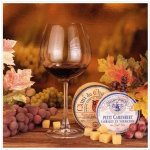 Ubrousek 33x33cm Víno ve skleničce – Hledejceny.cz