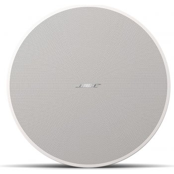 Bose DesignMax DM6C