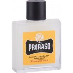 Proraso Wood & Spice balzám na vousy 100 ml – Sleviste.cz