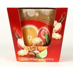 Bartek Candles Christmas Time Cinnamon & Apple 115 g – Hledejceny.cz