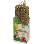 JR Farm Bezobilná tyčinka Malina pro kondici 140 g – Zboží Mobilmania