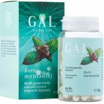 Gal Mátový olej 100 mg 60 kapslí 30 g – Hledejceny.cz