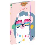 Karton P+P A4 Jumbo Lama 305430 – Zboží Dáma