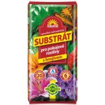 Forestina Substrát pro pokojové rostliny 5 l – Hledejceny.cz