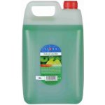 Vione tekuté mýdlo čiré zelené Jablko 5 l – Zboží Dáma