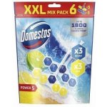 DOMESTOS WC blok "Power 5", limetka, 6 x 50 g – Zboží Dáma