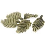 Rosewood Veggie Burst Leaves - Hlodací listy 80 g – Hledejceny.cz