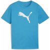 Dětské tričko Puma teamRISE Logo Jersey Cotton Jr 658707-02